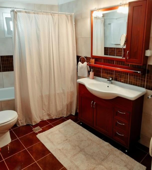 Evaggelia'S Apartments 5 Οικογενειακό Διαμέρισμα Козани Экстерьер фото
